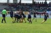 Nome del file=DSC_0445.JPG
Dimensione del file=235KiB
Dimensioni=1024x683
Aggiunta il=Giu 03, 2019 DSC_0445.JPG