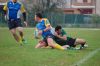 Nome del file=DSC_0521.JPG
Dimensione del file=116KiB
Dimensioni=1024x681
Aggiunta il=Nov 11, 2014 DSC_0521.JPG