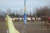 Nome del file=DSC_1256.JPG
Dimensione del file=162KiB
Dimensioni=1024x681
Aggiunta il=Feb 23, 2015 DSC_1256.JPG
