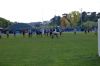 Nome del file=DSC_1266.JPG
Dimensione del file=147KiB
Dimensioni=1024x681
Aggiunta il=Mag 25, 2015 DSC_1266.JPG