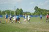 Nome del file=DSC_1737.JPG
Dimensione del file=173KiB
Dimensioni=1024x681
Aggiunta il=Mag 17, 2015 DSC_1737.JPG