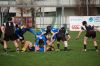 DSC_3045_28FILEminimizer29.JPG