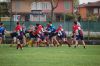DSC_3165_28FILEminimizer29.JPG