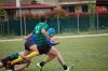 DSC_3558_28FILEminimizer29.JPG