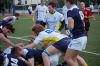 Nome del file=DSC_5051_28FILEminimizer29.JPG
Dimensione del file=90KiB
Dimensioni=800x532
Aggiunta il=Mar 06, 2017 DSC_5051_28FILEminimizer29.JPG