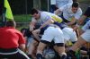 Nome del file=DSC_5062_28FILEminimizer29.JPG
Dimensione del file=85KiB
Dimensioni=800x532
Aggiunta il=Mar 06, 2017 DSC_5062_28FILEminimizer29.JPG