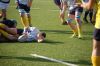 Nome del file=DSC_5071_28FILEminimizer29.JPG
Dimensione del file=118KiB
Dimensioni=800x532
Aggiunta il=Mar 06, 2017 DSC_5071_28FILEminimizer29.JPG