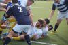 Nome del file=DSC_5076_28FILEminimizer29.JPG
Dimensione del file=94KiB
Dimensioni=800x532
Aggiunta il=Mar 06, 2017 DSC_5076_28FILEminimizer29.JPG