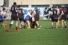 Nome del file=DSC_5276_28FILEminimizer29.JPG
Dimensione del file=100KiB
Dimensioni=800x532
Aggiunta il=Apr 10, 2017 DSC_5276_28FILEminimizer29.JPG