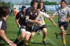 Nome del file=DSC_5295_28FILEminimizer29.JPG
Dimensione del file=100KiB
Dimensioni=800x532
Aggiunta il=Apr 10, 2017 DSC_5295_28FILEminimizer29.JPG