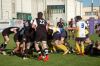 Nome del file=DSC_5303_28FILEminimizer29.JPG
Dimensione del file=119KiB
Dimensioni=800x532
Aggiunta il=Apr 10, 2017 DSC_5303_28FILEminimizer29.JPG