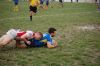 Nome del file=DSC_5448_28FILEminimizer29.JPG
Dimensione del file=125KiB
Dimensioni=800x532
Aggiunta il=Mag 09, 2017 DSC_5448_28FILEminimizer29.JPG