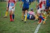 Nome del file=DSC_5474_28FILEminimizer29.JPG
Dimensione del file=113KiB
Dimensioni=800x532
Aggiunta il=Mag 09, 2017 DSC_5474_28FILEminimizer29.JPG