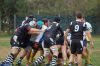 DSC_6110_28FILEminimizer29.JPG