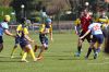Nome del file=DSC_6167.JPG
Dimensione del file=336KiB
Dimensioni=1600x1060
Aggiunta il=Mar 29, 2019 DSC_6167.JPG