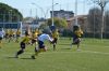 Nome del file=DSC_6193.JPG
Dimensione del file=336KiB
Dimensioni=1600x1060
Aggiunta il=Mar 29, 2019 DSC_6193.JPG