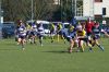 Nome del file=DSC_6225.JPG
Dimensione del file=423KiB
Dimensioni=1600x1060
Aggiunta il=Mar 29, 2019 DSC_6225.JPG