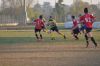 DSC_6572.jpg