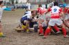 DSC_6911_28FILEminimizer29.JPG