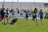 Nome del file=DSC_6941.JPG
Dimensione del file=241KiB
Dimensioni=1218x806
Aggiunta il=Apr 04, 2019 DSC_6941.JPG