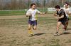 DSC_7080_28FILEminimizer29.JPG
