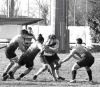 DSC_7094.JPG