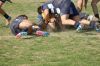 DSC_7278_28FILEminimizer29.JPG