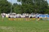 Nome del file=DSC_7583.JPG
Dimensione del file=463KiB
Dimensioni=1600x1060
Aggiunta il=Giu 11, 2019 DSC_7583.JPG