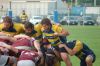 Nome del file=DSC_7719_28FILEminimizer29.JPG
Dimensione del file=123KiB
Dimensioni=1024x681
Aggiunta il=Mag 28, 2018 DSC_7719_28FILEminimizer29.JPG