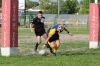 Nome del file=DSC_7897.JPG
Dimensione del file=312KiB
Dimensioni=1515x1010
Aggiunta il=Giu 11, 2019 DSC_7897.JPG
