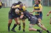 Nome del file=DSC_8012_28FILEminimizer29.JPG
Dimensione del file=243KiB
Dimensioni=1600x1065
Aggiunta il=Nov 06, 2018 DSC_8012_28FILEminimizer29.JPG