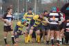 DSC_8563_28FILEminimizer29.JPG