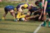 DSC_9024_28FILEminimizer29.JPG