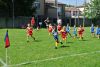 Nome del file=DSC_9077.JPG
Dimensione del file=158KiB
Dimensioni=800x536
Aggiunta il=Giu 03, 2016 DSC_9077.JPG