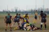 DSC_9113_28FILEminimizer29.JPG