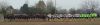 FullSizeRender28329.jpg