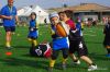 Nome del file=IMGP1138X.JPG
Dimensione del file=196KiB
Dimensioni=1024x686
Aggiunta il=Ott 31, 2015 IMGP1138X.JPG