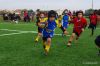 Nome del file=IMGP1279X.JPG
Dimensione del file=212KiB
Dimensioni=1024x686
Aggiunta il=Ott 31, 2015 IMGP1279X.JPG