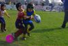 Nome del file=IMGP2594_S.JPG
Dimensione del file=126KiB
Dimensioni=800x536
Aggiunta il=Mag 10, 2016 IMGP2594_S.JPG