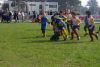 Nome del file=IMGP2600_S.JPG
Dimensione del file=145KiB
Dimensioni=800x536
Aggiunta il=Mag 10, 2016 IMGP2600_S.JPG