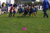 Nome del file=IMGP2613_S.JPG
Dimensione del file=153KiB
Dimensioni=800x536
Aggiunta il=Mag 10, 2016 IMGP2613_S.JPG