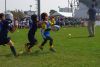 Nome del file=IMGP2660_S.JPG
Dimensione del file=119KiB
Dimensioni=800x536
Aggiunta il=Mag 10, 2016 IMGP2660_S.JPG