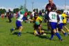 Nome del file=IMGP3225_S.JPG
Dimensione del file=142KiB
Dimensioni=800x536
Aggiunta il=Mag 29, 2016 IMGP3225_S.JPG