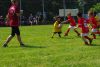 Nome del file=IMGP3368_S.JPG
Dimensione del file=151KiB
Dimensioni=800x536
Aggiunta il=Mag 29, 2016 IMGP3368_S.JPG