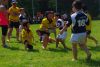 Nome del file=IMGP3384_S.JPG
Dimensione del file=135KiB
Dimensioni=800x536
Aggiunta il=Mag 29, 2016 IMGP3384_S.JPG