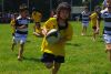 Nome del file=IMGP3387_S.JPG
Dimensione del file=121KiB
Dimensioni=800x536
Aggiunta il=Mag 29, 2016 IMGP3387_S.JPG