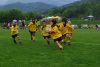 Nome del file=IMGP3579_S.JPG
Dimensione del file=119KiB
Dimensioni=800x536
Aggiunta il=Giu 03, 2016 IMGP3579_S.JPG