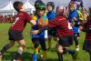 Nome del file=IMGP6216_S.JPG
Dimensione del file=135KiB
Dimensioni=800x536
Aggiunta il=Mag 30, 2017 IMGP6216_S.JPG