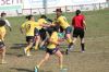 IMG_3281~0.JPG