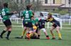 IMG_5337~0.JPG